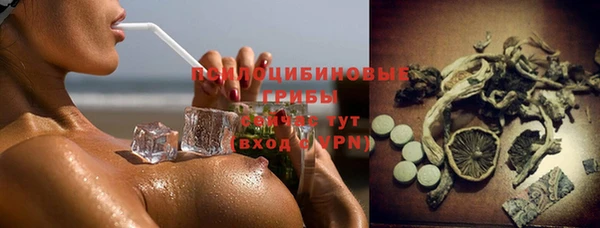 дурь Арсеньев