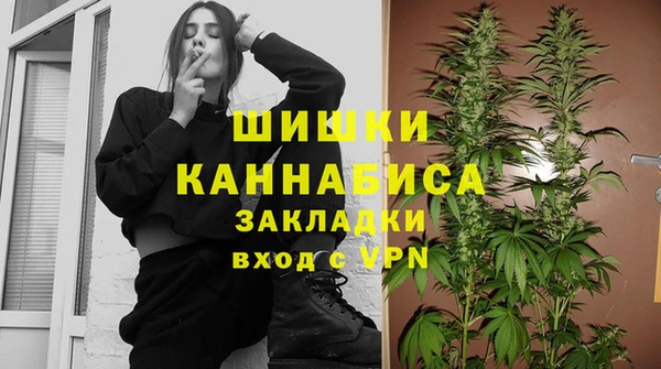 дурь Арсеньев