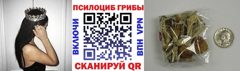 Псилоцибиновые грибы Psilocybine cubensis  Лагань 